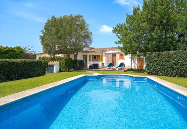 Villa in Pollensa - Villa Tarongers
